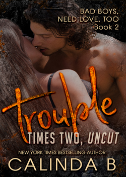 Troubles Times Two by Calinda B