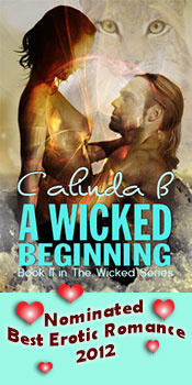 A Wicked Awakening, Book I in the Wicked Series