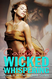 A Wicked Awakening, Book I in the Wicked Series